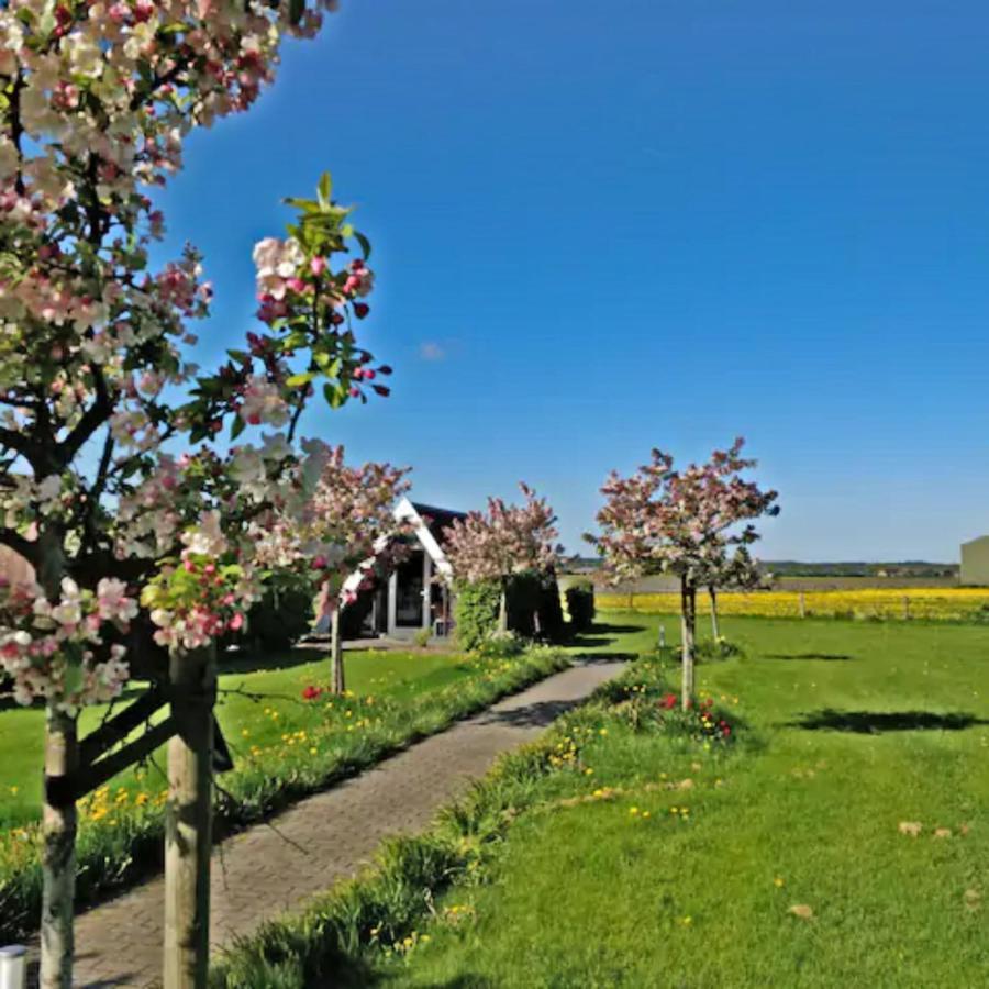 Hotelhuisje Warmenhuizen #C Exterior foto